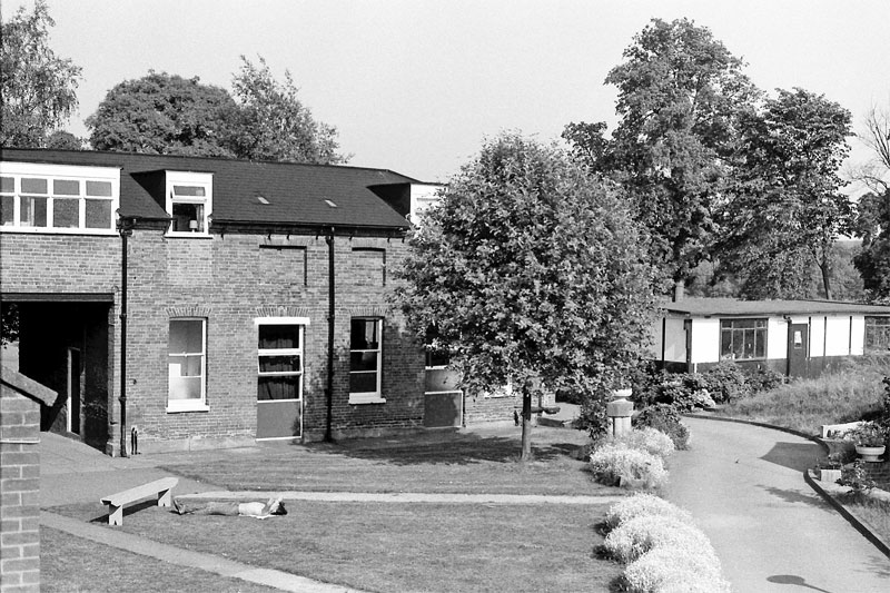 Mill Lane 1982
